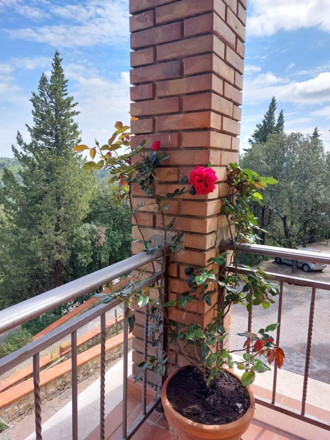 Casa Bruna - Cipresseta Del Chianti Castellina in Chianti Eksteriør billede